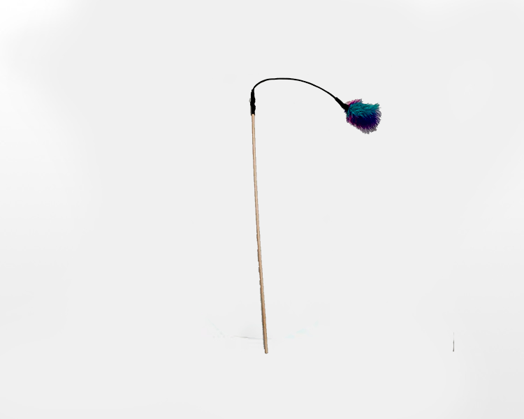 varita con plumas
