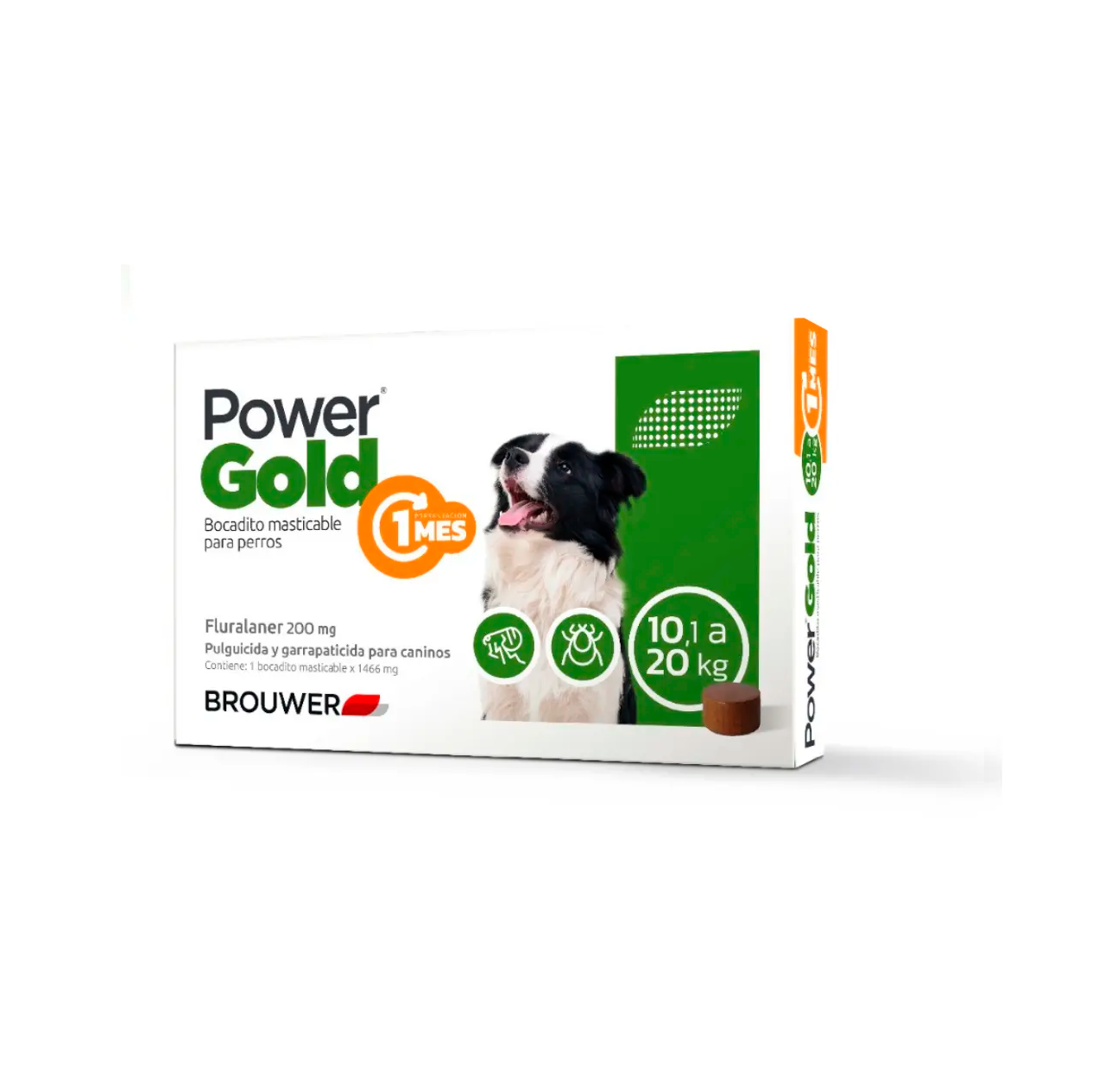 Antip Power Gold 1Mes 10 - 20Kg