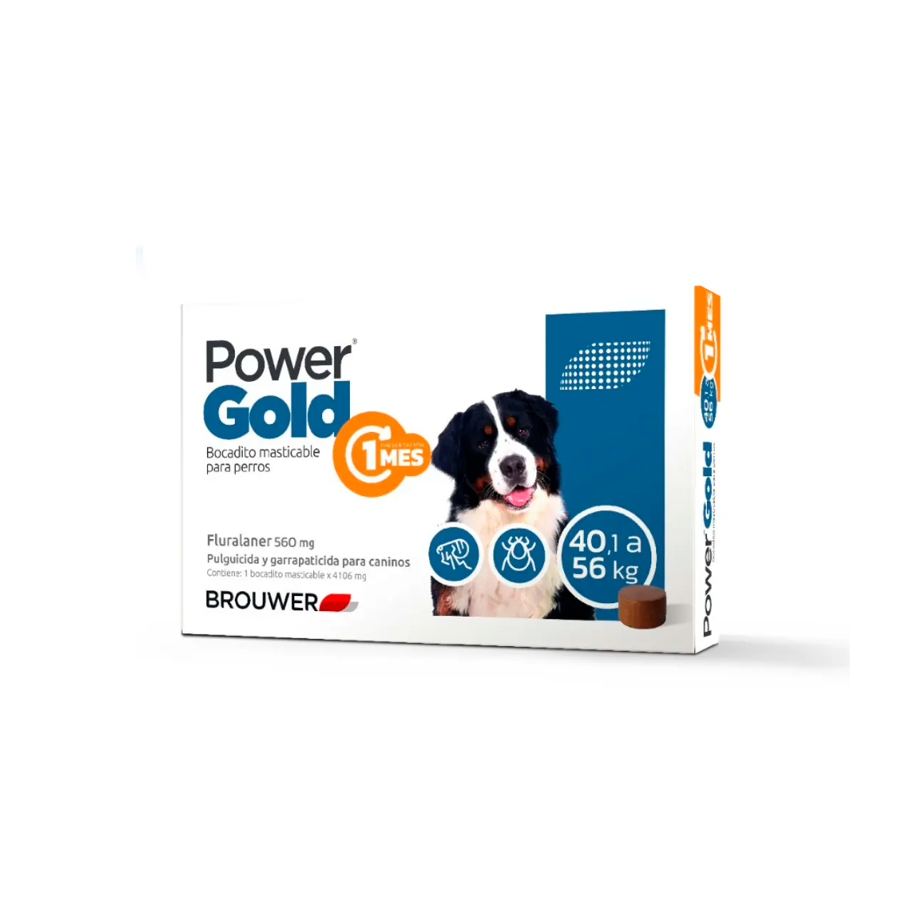Antip Power Gold 1Mes 40.1 - 56Kg